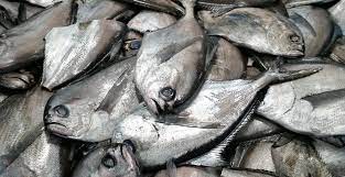 REINETA GRANDE FRESCA