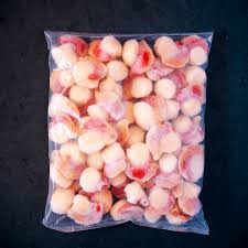 [YAVU] OSTION CON CORAL 1K FAM