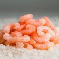 [YAVU] CAMARON 100/200 Pre